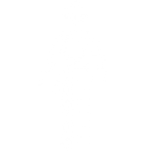 adulti